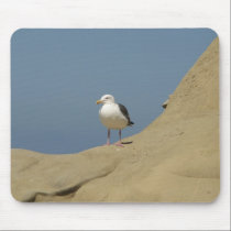 Seagull, La Jolla, California mousepads