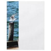 Seagull Landing Full Color Flyer