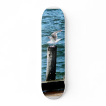 Seagull Landing Skateboard Deck