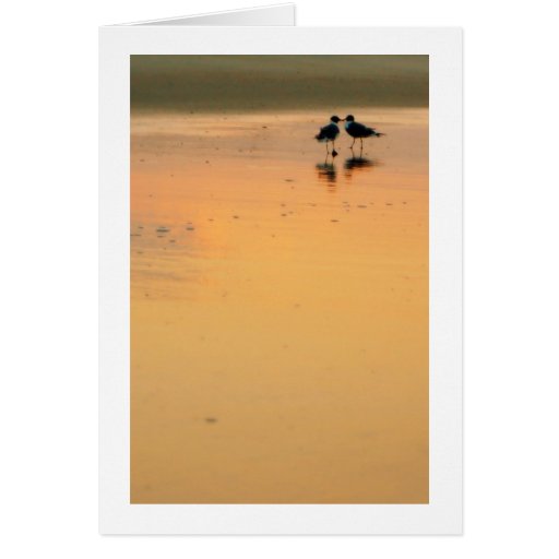 Seagull Love Card