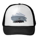 seagull mesh hat