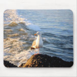 Seagull Mousepad
