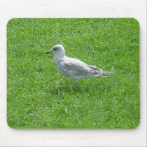 Seagull Mousepad