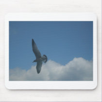 Seagull mousepads by KatsEyes Seagull mousepads