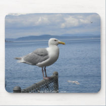 Seagull mousepads