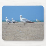 Seagull mousepad