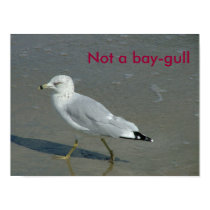 Seagull, not baygull posters by ribizlifozelek Seagull, not baygull posters