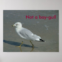 Seagull, not baygull print