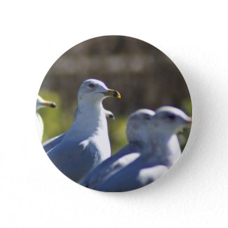 Seagull on a Rail Buttons