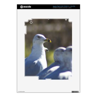 Seagull on a Rail Decal For Ipad 3