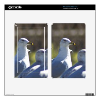 Seagull on a Rail Decal For Kindle Fire