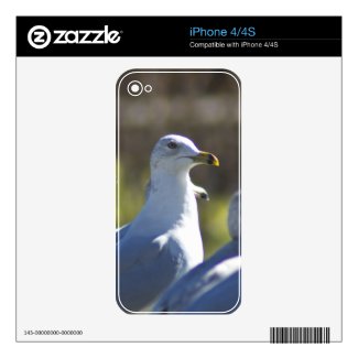Seagull on a Rail Iphone 4s Decal