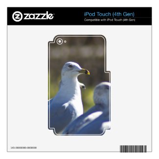 Seagull on a Rail Ipod Touch 4g Skin