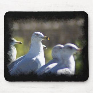 Seagull on a Rail Mouse Pad