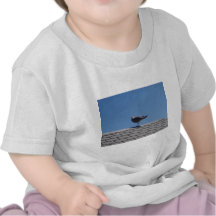 Seagull On A Slate Roof Tees