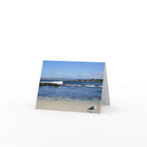 Seagull on Beach, Blank Note Card