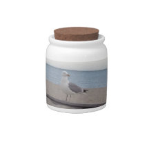 Seagull on Beach Candy Jar