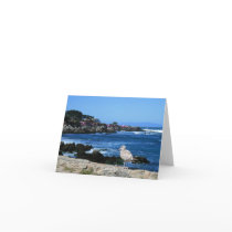 Seagull on Pacific Coastline, Blank Note Card