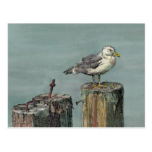 SEAGULL on PILING by SHARON SHARPE Post Card