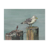 SEAGULL on PILING by SHARON SHARPE postcards