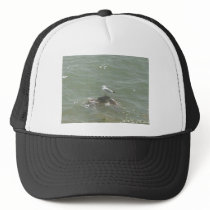 Seagull on rock hats by KatsEyes Seagull on rock hats