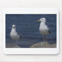 Seagull On Rock mousepads