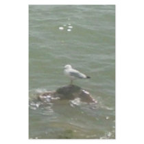 Seagull on rock stationery