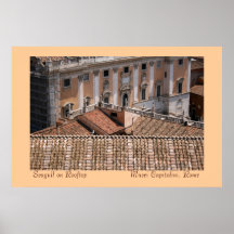 Seagull on Rooftop Print