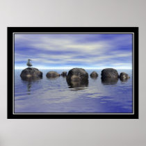 Seagull on the Rocks Print posters