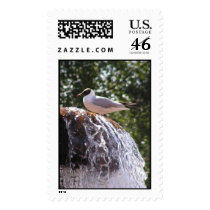 Seagull on the waterfall postage