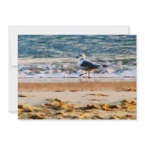 Seagull on Virginia Beach at Dawn Personalized Announcement