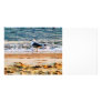 Seagull on Virginia Beach at Dawn Personalized Photo Card