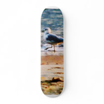 Seagull on Virginia Beach at Dawn Skateboard Decks