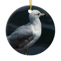 Seagull Ornament ornaments