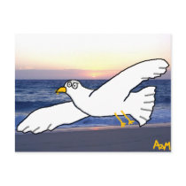 Seagull over the bay postcards