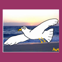 Seagull over the bay postcards
