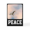 Seagull Peace Greeting Card