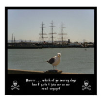 Seagull Pirate Art Print
