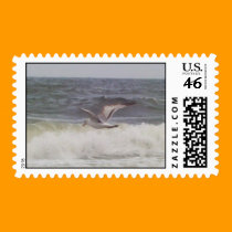 Seagull Postage postage