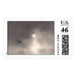 Seagull Postage Stamps