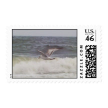 Seagull Postage