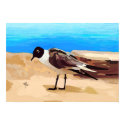 Seagull posters