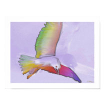 seagull posters by nefera seagull posters