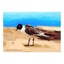 Seagull posters by Sunmike Seagull posters