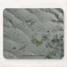 Seagull Prints Mouse Pad