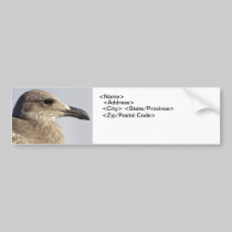 Seagull Profile bumper stickers
