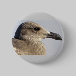 Seagull Profile buttons