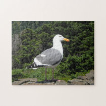 Seagull Puzzle puzzles