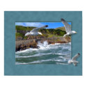 Seagull Scape posters