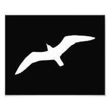 Seagull Shape Art Photo